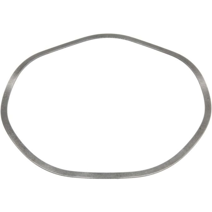 Circlip ZF 0501325499