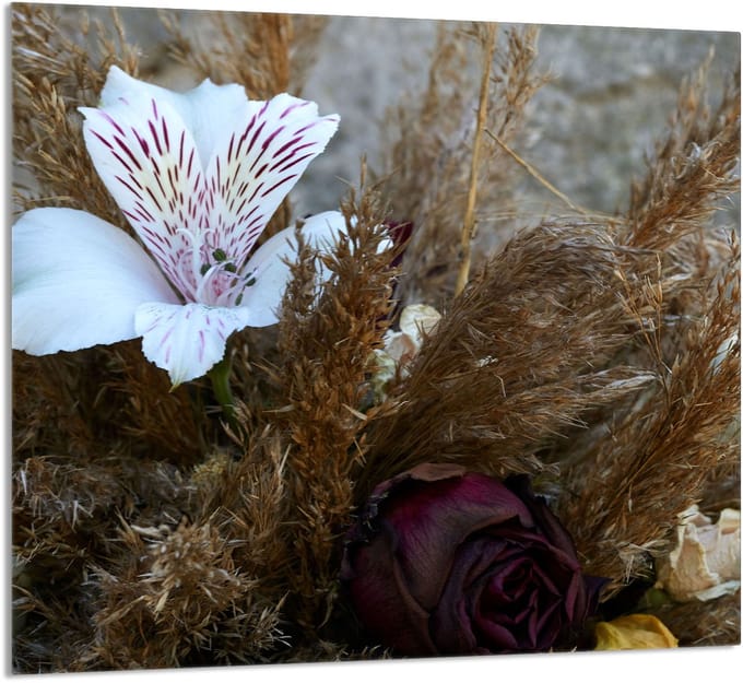 TMK ArtDeko - Snijplank Glas - Orchidee - 65x60 cm - Veelkleurig