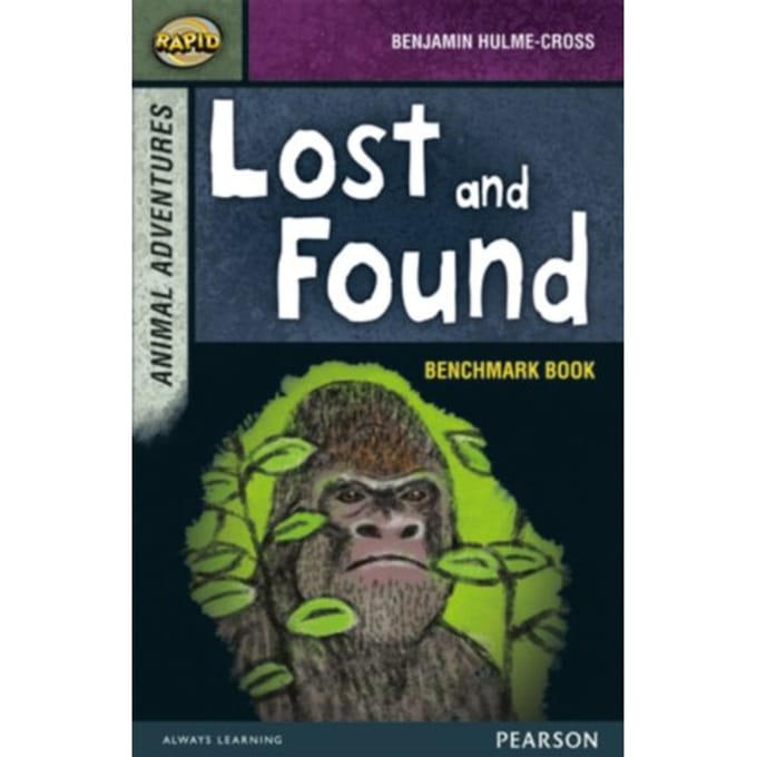 Rapid Stage 7 Assessment Book: Lost And Found - Rapid - Reid, Dee
