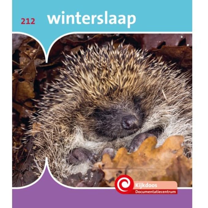 Winterslaap - De Kijkdoos - Minke van Dam