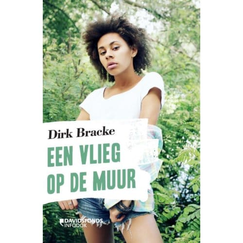 Een Vlieg Op De Muur - Dirk Bracke