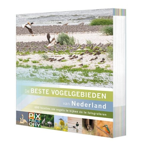 De Beste Vogelgebieden Van Nederland - De Mooiste Fotolocaties