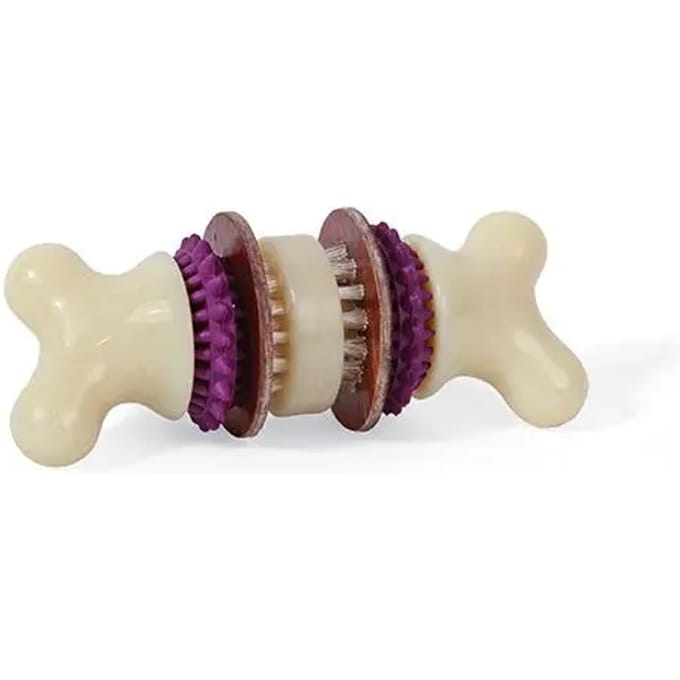 Kauwspeeltje voor honden PetSafe Bristle Bone