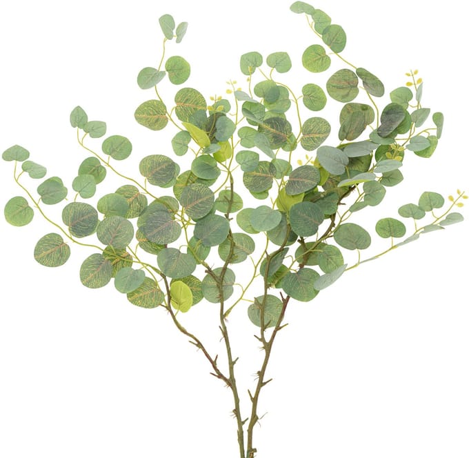 Decoratieve eucalyptustak, ideaal als tafeldecoratie, 120 cm