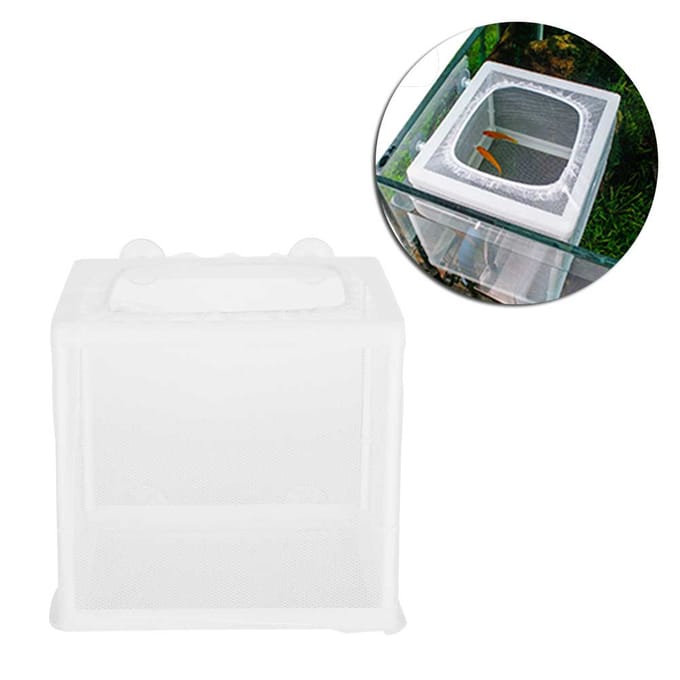Aquarium Aquarium réservoirs boîte d'élevage petits poissons Isolation incubateur Aquariums accessoire white