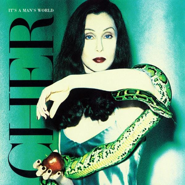 CD CHER  Its A Mans World 0630126702 WEA 1995 Europe Dance  Electronica Occasion