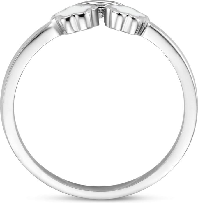 Gerhodineerd Zilver Ring Regenboog 1336209