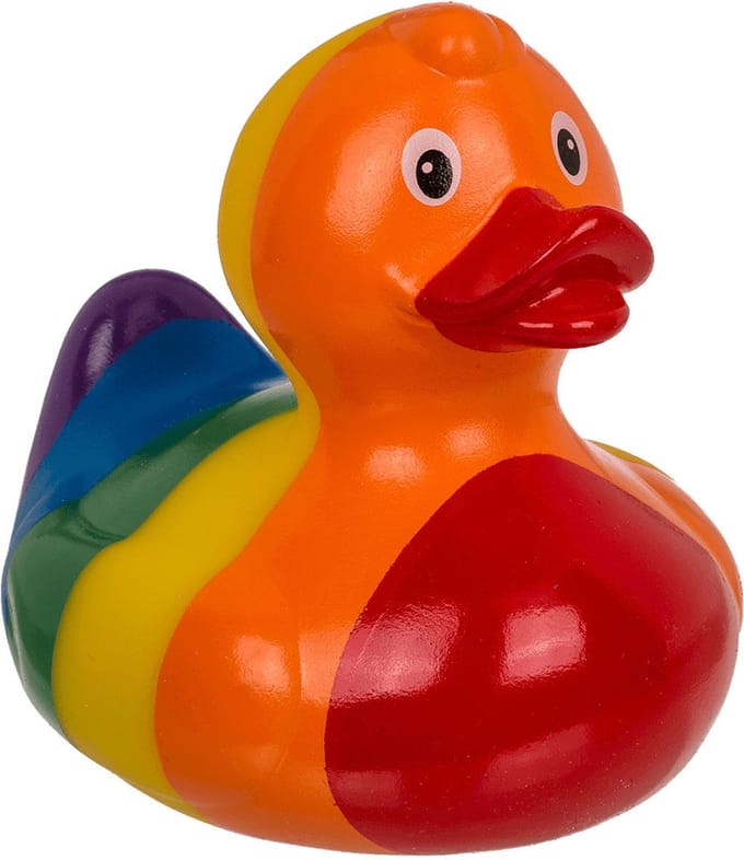 Rainbow Squeaking Duck