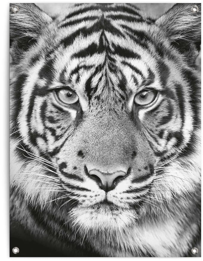 Tuinposter Tijger - 80 x 60 - Canvas - REINDERS