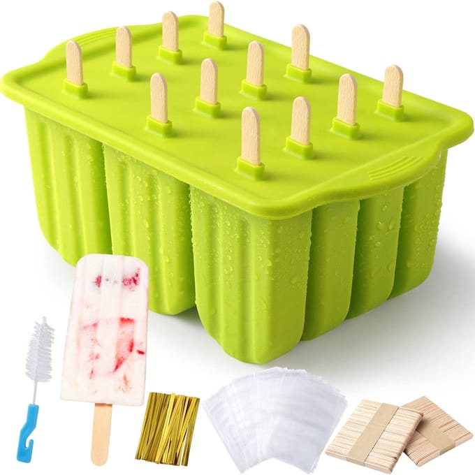 Dailygoods - Herbruikbare Siliconen Ijslollyvormen - Set van 12 met 100 Sticks