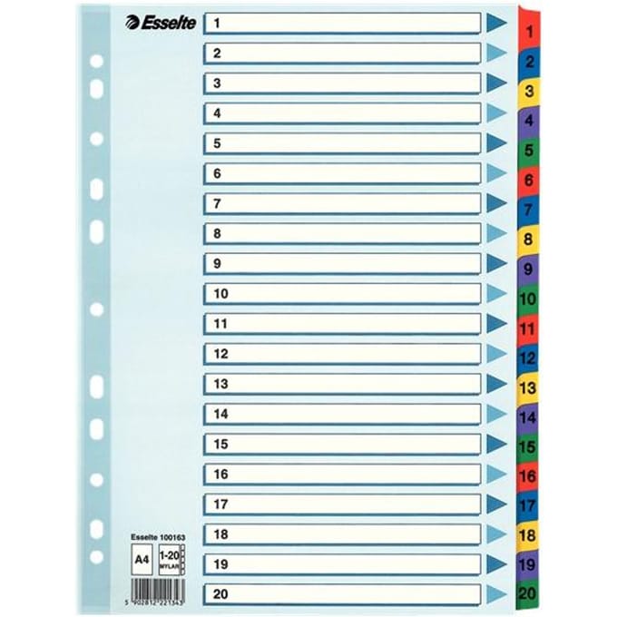 Esselte Index A4 - 1-20 Tabs - Karton met Mylar Versterkt - 11-gaats - Meerkleurig