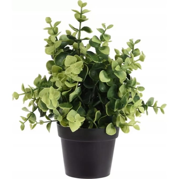 Kunstmatige Decoratieve Plant in Pot 23cm zwart