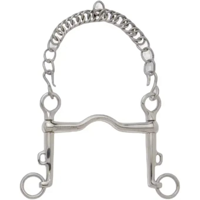 Muil voor paard met gemiddelde tongpassing, lange schuiftakken. Sefton Weymouth