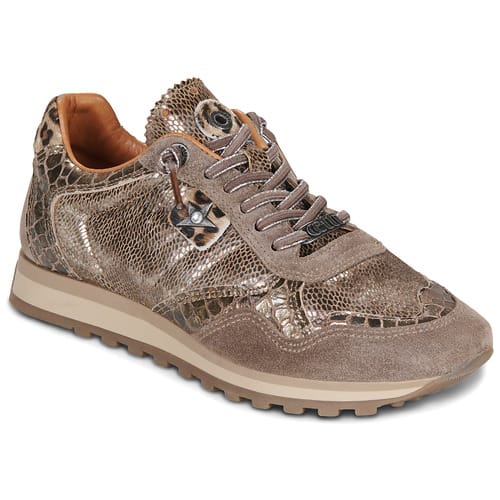 Lage Sneakers Cetti C848