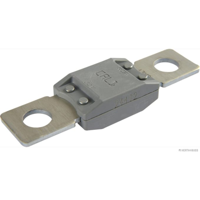 Zekering HERTH+BUSS ELPARTS 50295841