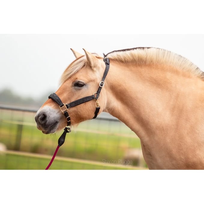 Leren halster voor paarden Edix Saddles Kaily