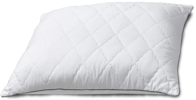 Zelesta Pillow 40x60cm
