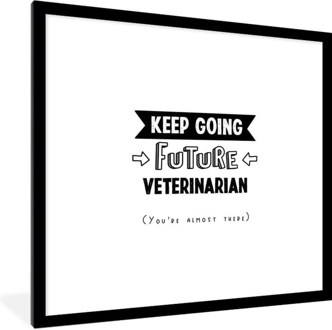 Fotolijst incl. Poster - Quote - Dierenarts - Studeren - 40x40 cm - Posterlijst