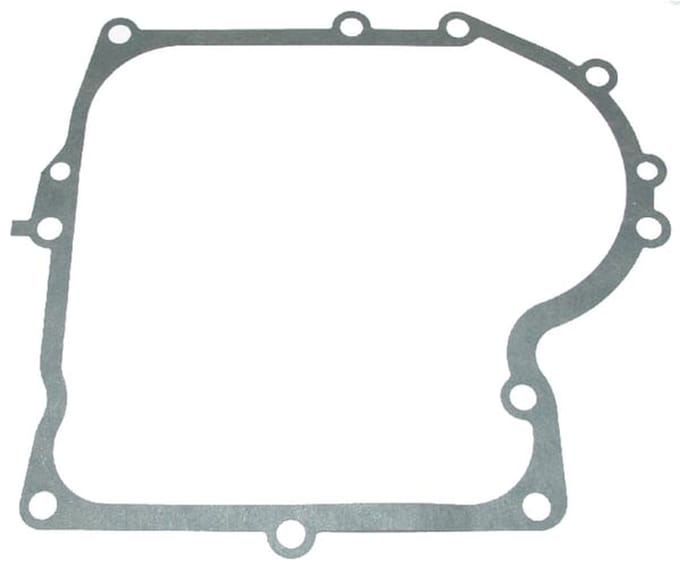 Briggs & stratton carterpakking (4163) .
