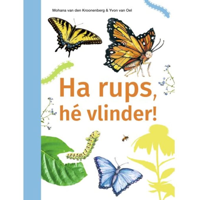 Ha Rups, Hé Vlinder! - Ik Lees Informatief - Mohana van den Kroonenberg