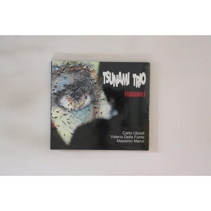 CD TSUNAMI TRIO - Tsunamici BA362CD MUZIEKCENRUM 2015 Italië Jazz Gebruikt gray