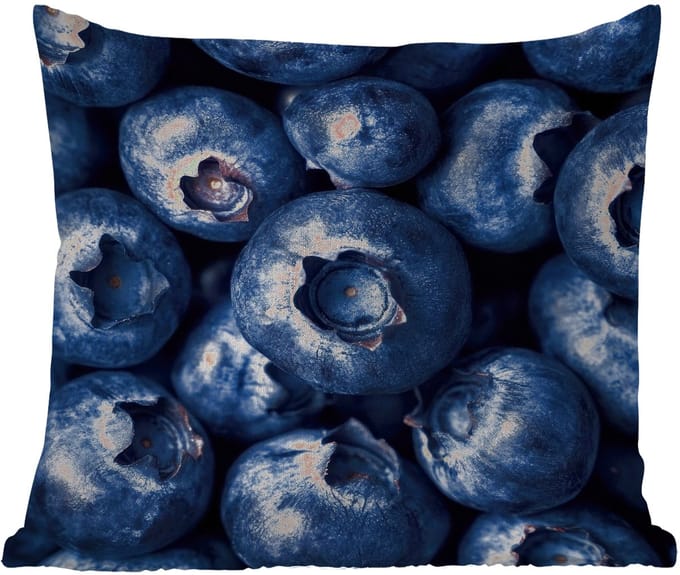 Buitenkussen - Bessen - Blauw - Fruit - 45x45 cm - Weerbestendig