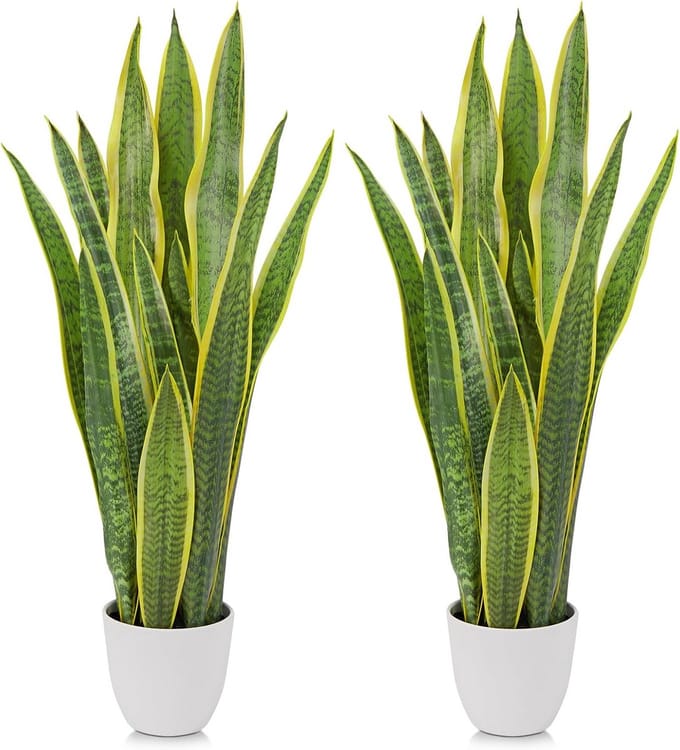 Omgoods - Set van 2 Kunstplanten, Slangenplant 73 cm