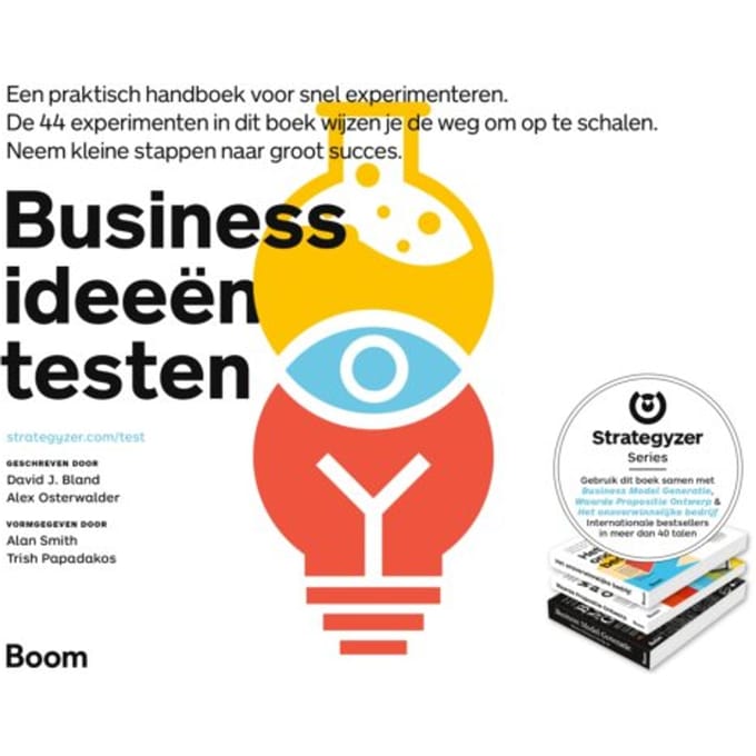 Businessideeën Testen - David J. Bland