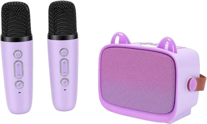 Mini Karaoke Speelgoed - Draagbare Geluidsbox - Buiten Zingen - Dubbele Microfoons - 15 x 14.5 x 10 cm - Paars