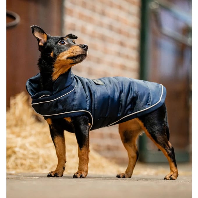 Hondendeken Horseware Signature 200g
