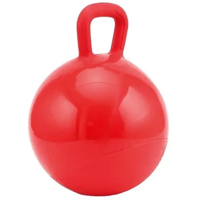 Paarden speelbal HorseGuard