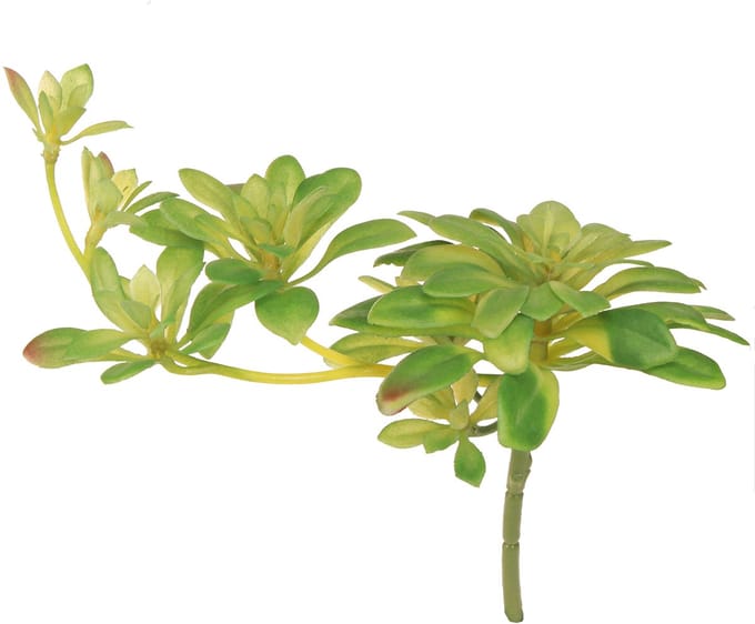 Succulente kunstplant met steker Aeonium Groen 30cm 4 st., 4 Stück
