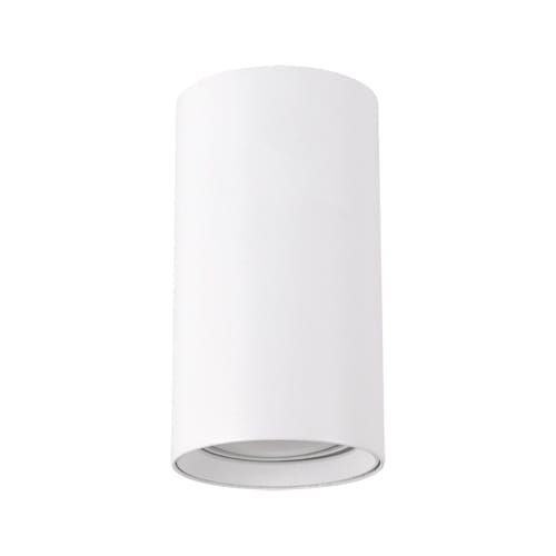 DARIA - Plafond - Opbouw Spot Armatuur - GU10 fitting - Rond - Wit