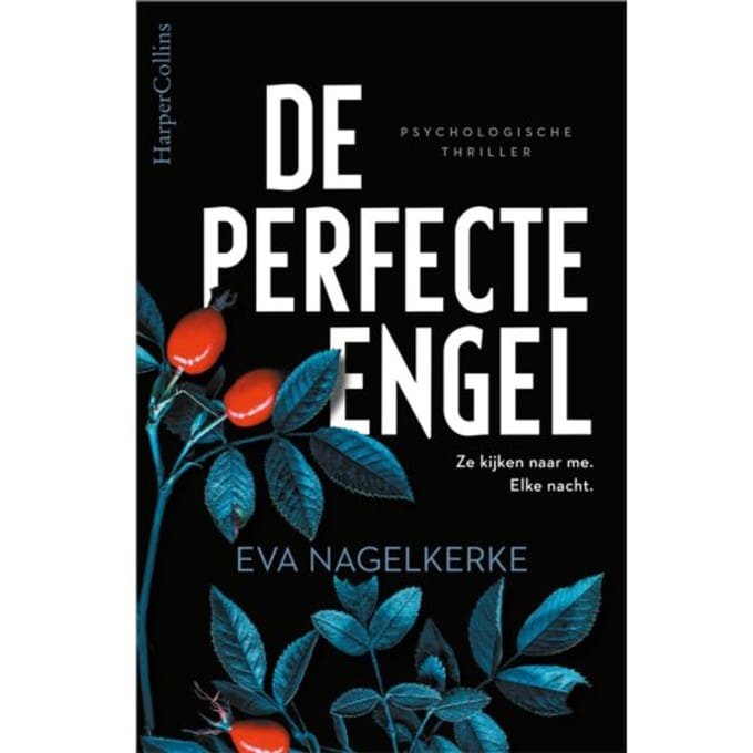 De Perfecte Engel - Eva Nagelkerke