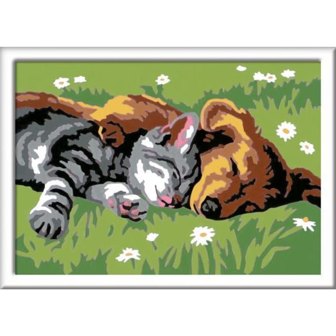 Ravensburger CreArt Sleeping Cats and Dogs - Schilderen op nummer voor kinderen