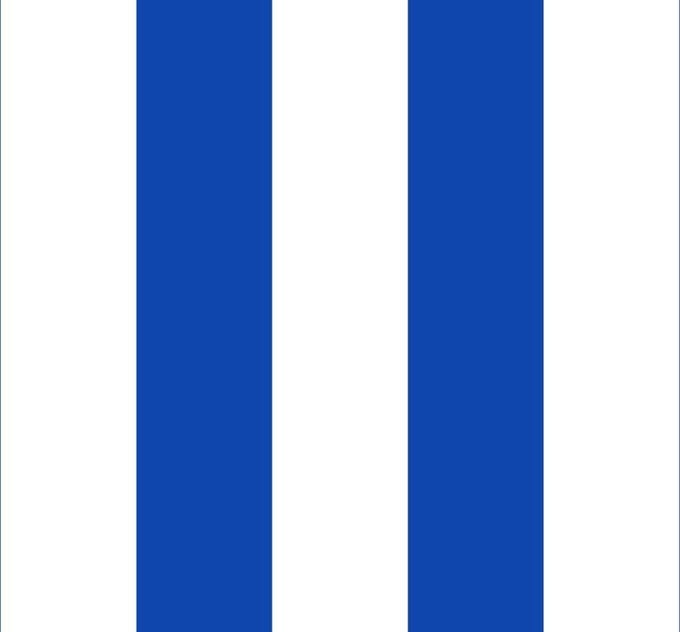 Vlag Berlaar 100x150cm