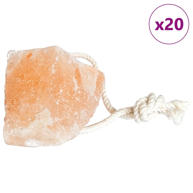vidaXL - Zoutlikstenen - Roze - Zoutsteen