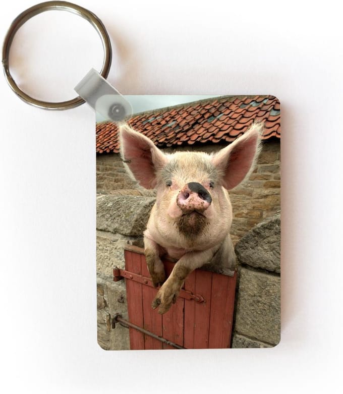 Sleutelhanger - Varken - Roze - Dier - Uitdeelcadeautjes - Plastic