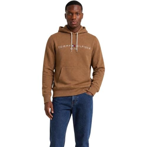 Capuchon sweaters Tommy Hilfiger TOMMY LOGO MW0MW11599
