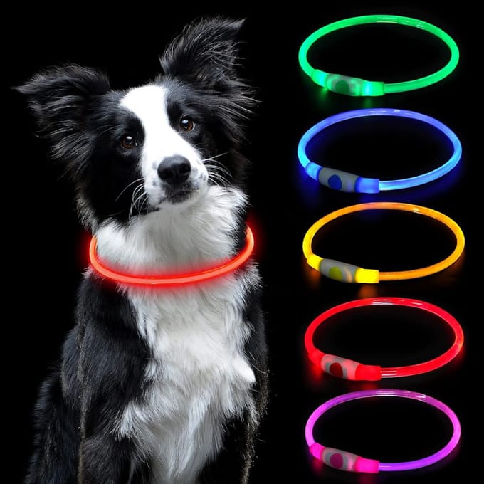 DDStar® Lichtgevende hondenhalsband - LED halsband - Oplaadbare halsband hond - Rood