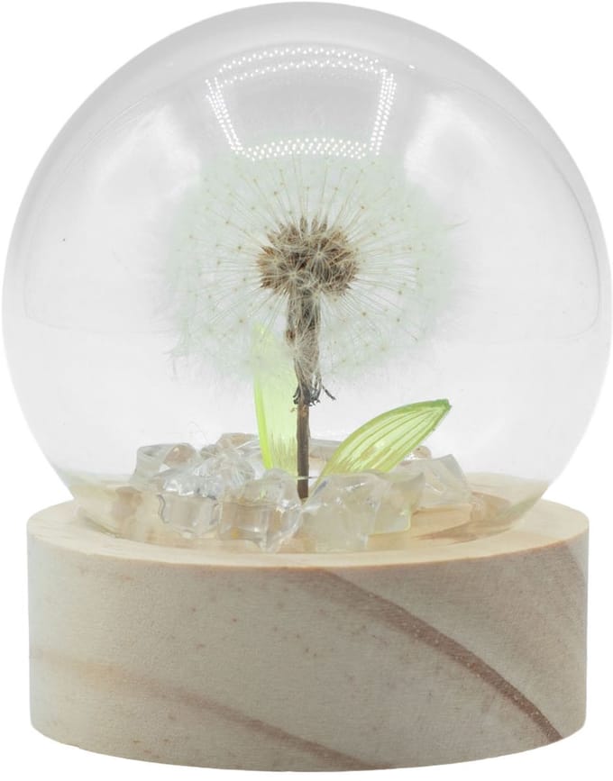 Floral Glow Garden Dome - 1 paardenbloem - LED-batterij
