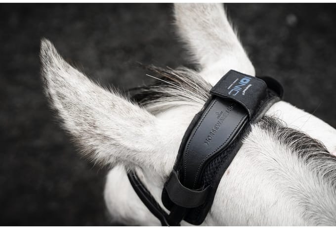 Nekbeschermer voor paarden Horseware Ionic