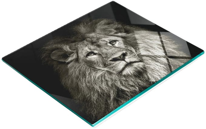 Glazen decoratieve plank met afbeelding van een leeuw voor het serveren van snacks, 60x52 cm