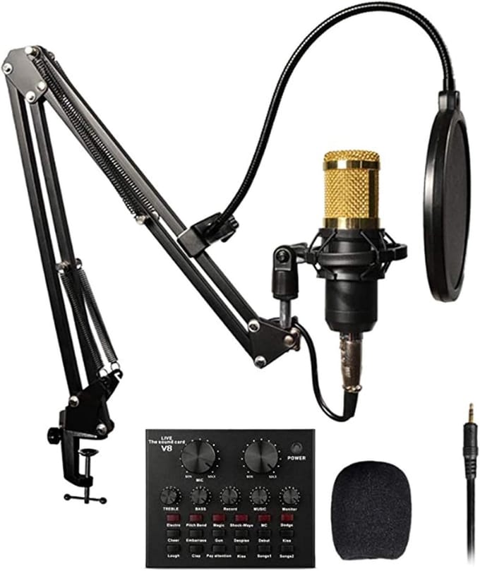 Condensator Microfoon Set - Studio Microfoon Opname Microfoon - Professionele Opnames - Ingebouwde Geluidskaart - 20Hz-16kHz - Zwart