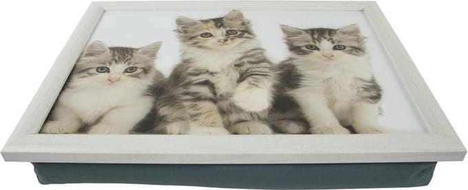 Mars & More Schoottafel - katten/poezen print - 43 x 32 cm - laptray