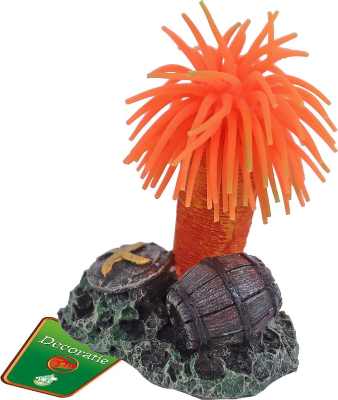 De Boon Annemoon + Rots 9CM
