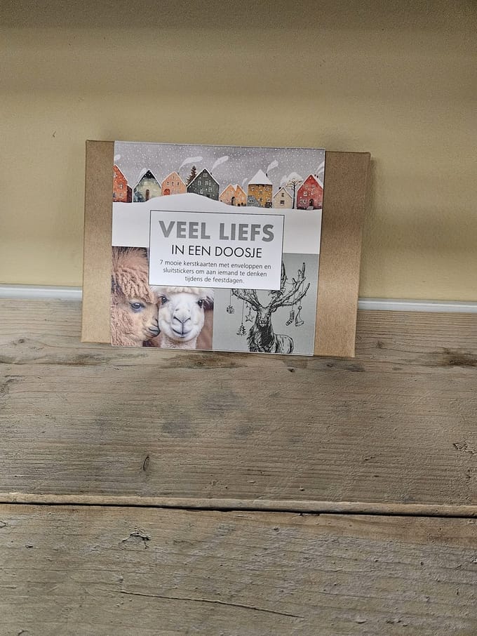 Give X - Kerstkaarten - 7 stuks - Veel liefs in een doosje - Kerst