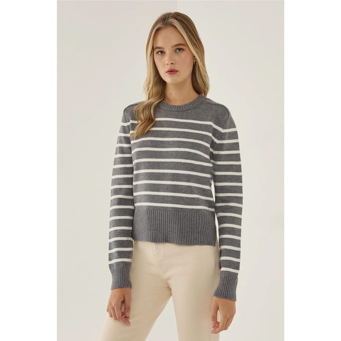 Gestreepte Crew Neck Trui