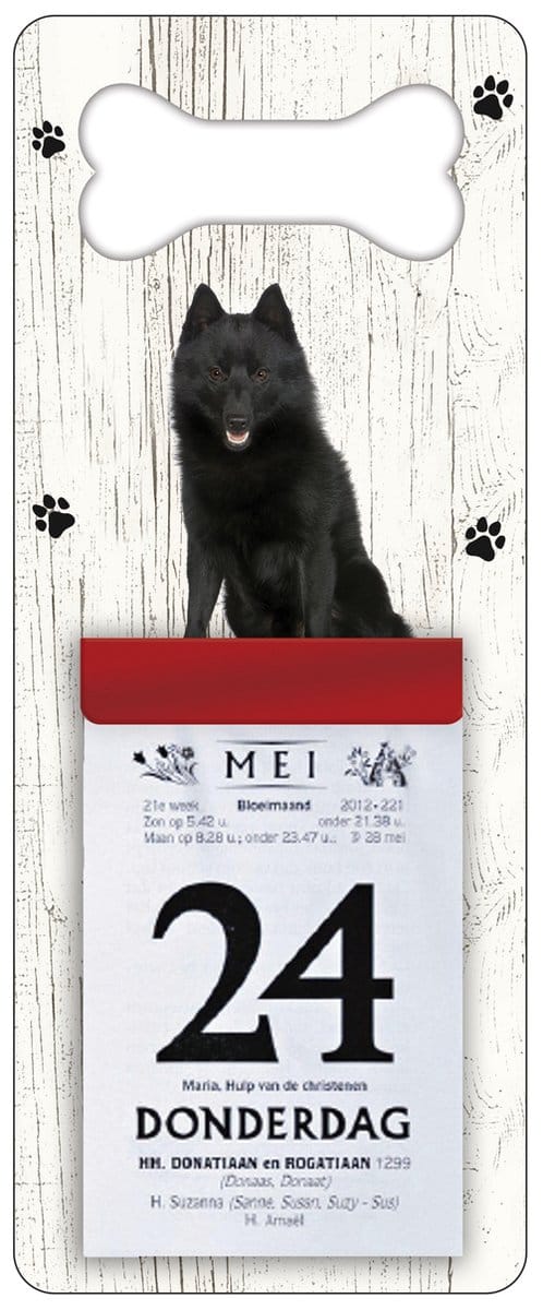 Scheurkalender 2027 Hond: Schipperke