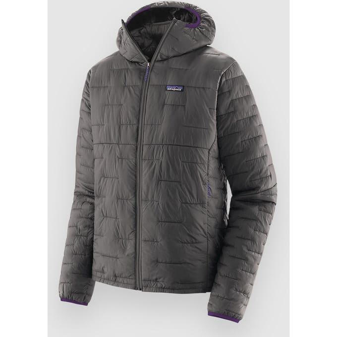 Patagonia Micro Puff Hoodie grijs